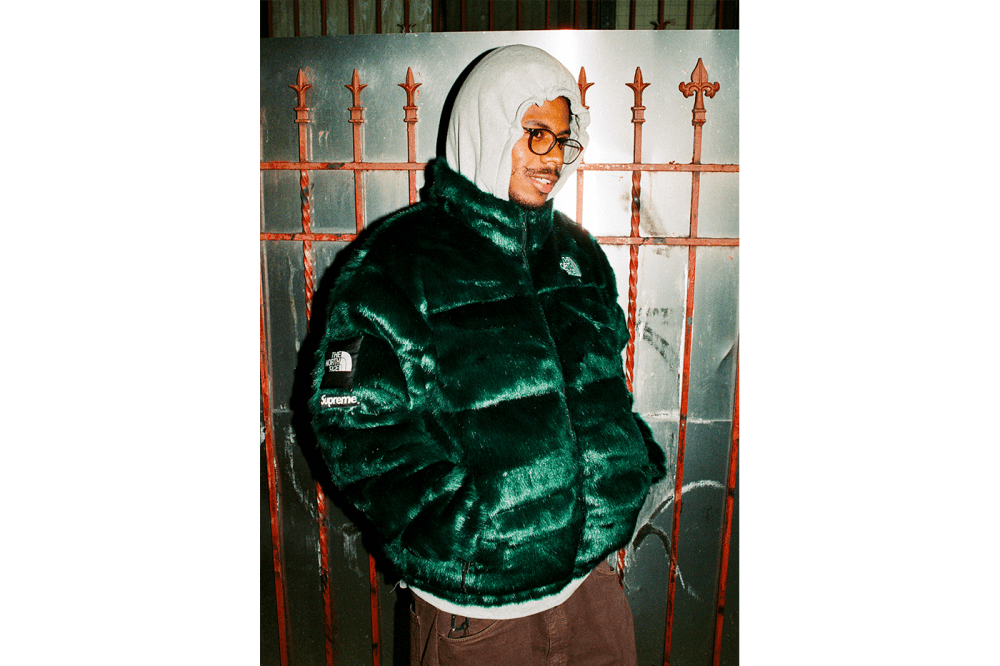 the north face fur coat